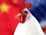 为何对美国白羽肉鸡产品继续征收反补贴税？