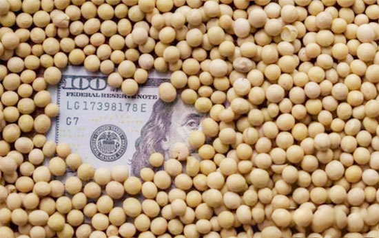 中美大豆贸易将回归常态？